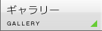 ギャラリー
