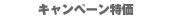 �u���[�L