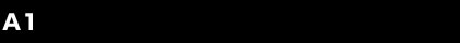 A1